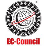 E-Council Logo